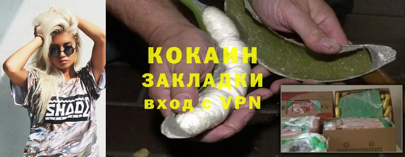 COCAIN Fish Scale  Заволжск 